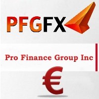 PFGFX – Представляющий агент FIBO Group