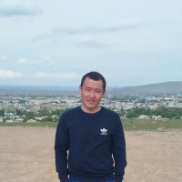 Джанисбаев Асан, Казахстан