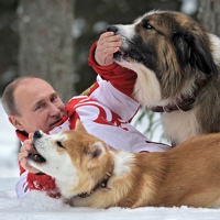 Собаководы России