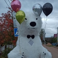 Праздничный Медведь, Беларусь, Глубокое