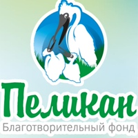 Благотворительный-Фонд Пеликан, Россия, Челябинск