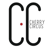 CherryCircus/pole dance/aerial hoop/silks/Ростов