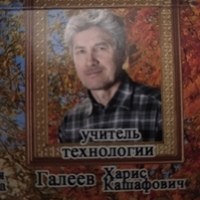 Кашафович Харис, Россия, Мурманск