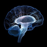 MedLive: Неврология и Психиатрия