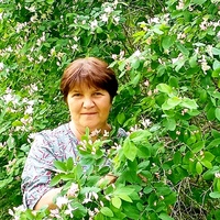Мазихина Светлана, Россия, Северный