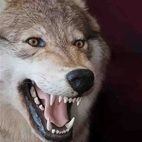 Постироничные мемы с волками