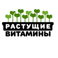 Растущие-Витамины Микрозелень, Россия, Сарапул