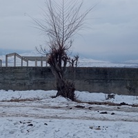 Узбеков Руслан, Кыргызстан, Джалал-Абад
