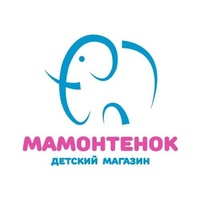 Магазин-Мамонтенок Детский-Интернет, Россия, Владимир
