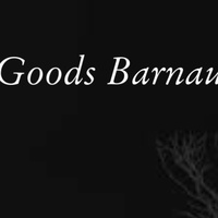 Barnaul Goods