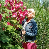 Орхидея Нінель, Украина