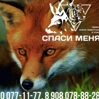 Приют диких животных "СПАСИ МЕНЯ", Челябинск