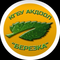 АКДООЛ "Березка" официальная группа