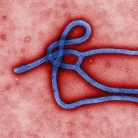 Эбола Лихорадка