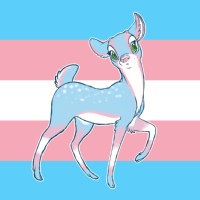 Transsexuals LadyBoys Shemale Crossdressers Trap