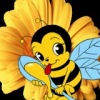 Пчеловодчаский Пчёлка, Россия, Елец