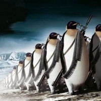 Пингвинов Пингвинов