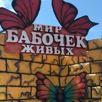 Живые Бабочки, Россия, Анапа