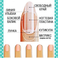 Новые пошаговые уроки маникюра | Дизайн ногтей
