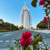 Абрамович Виктор, Объединенные Арабские Эмираты, Dubai