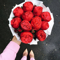 Доставка цветов в Калининграде от ПРИВЕТ БУКЕТ